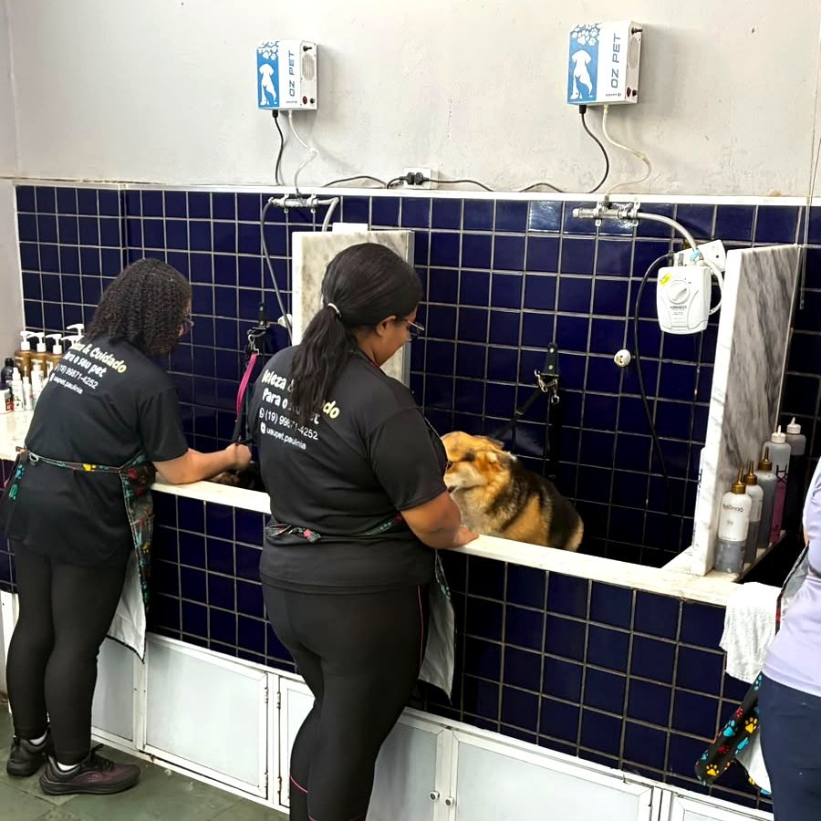 Equipe uniformizada da UAU! Pet dando banho, com equipamentos de ozônio instalados